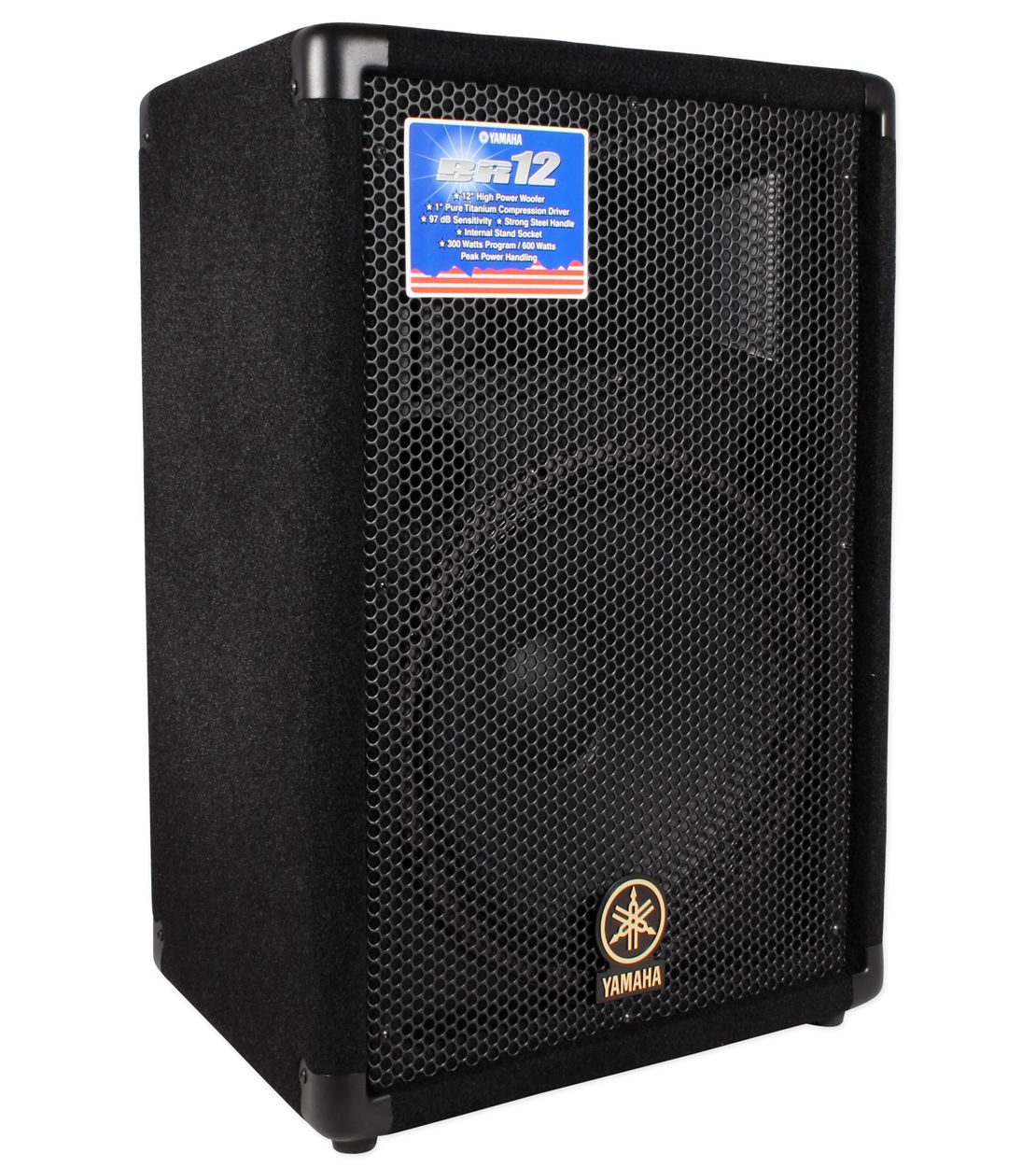 Yamaha Entry Club Speaker - 12