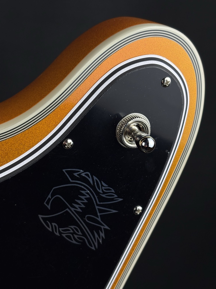 Epiphone Firebird Custom Futura, Firestorm Shift