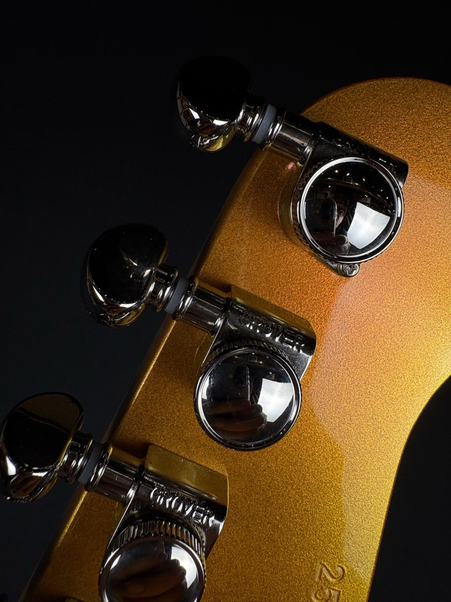 Epiphone Firebird Custom Futura, Firestorm Shift