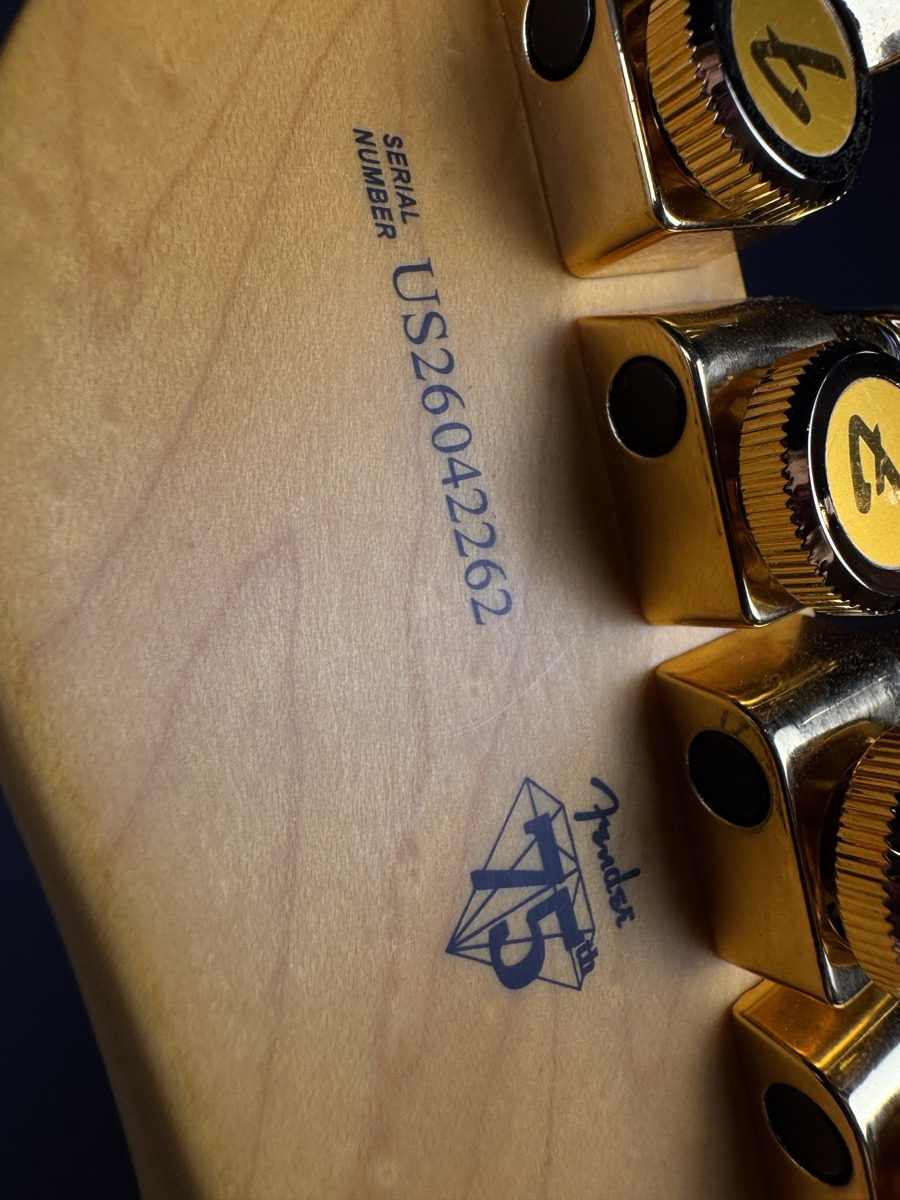 Fender Fender 75th Anniversary American Professional Custom Telecaster 2 Colour Burst