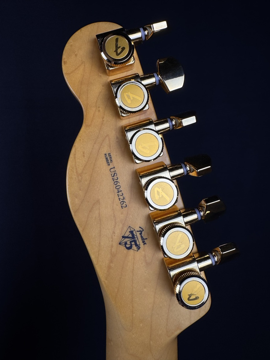 Fender Fender 75th Anniversary American Professional Custom Telecaster 2 Colour Burst