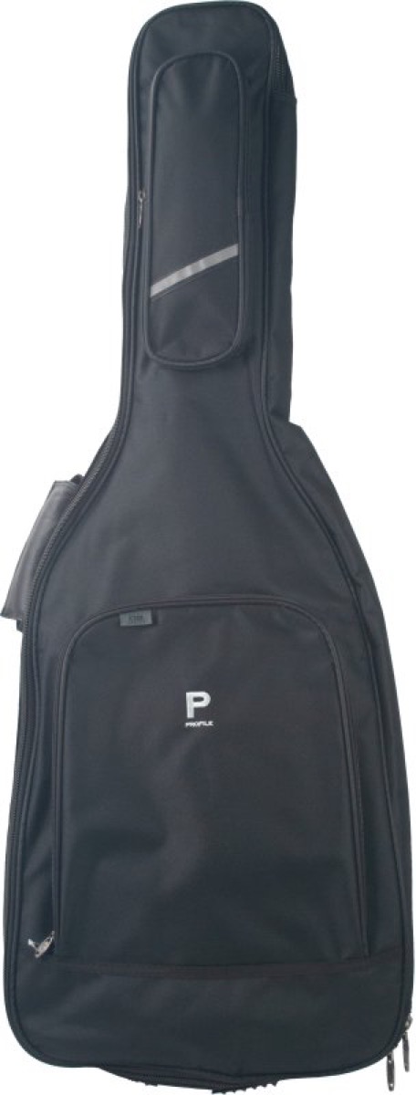 Profile Electric Gig Bag