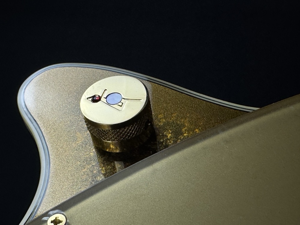 Gretsch Gretsch G6134TG Limited Edition Paisley Penguin - Gold Paisley - Guitars