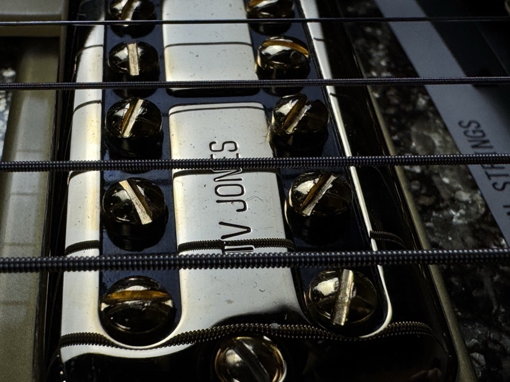 Gretsch Gretsch G6134TG Limited Edition Paisley Penguin - Gold Paisley - Guitars