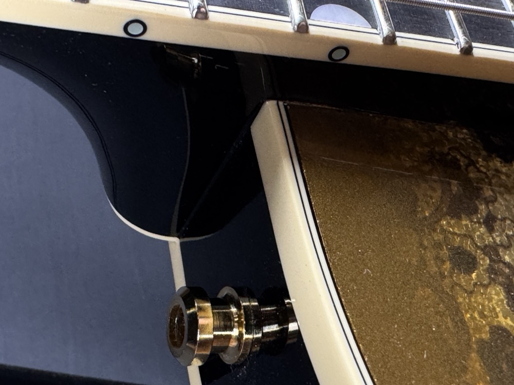 Gretsch Gretsch G6134TG Limited Edition Paisley Penguin - Gold Paisley - Guitars