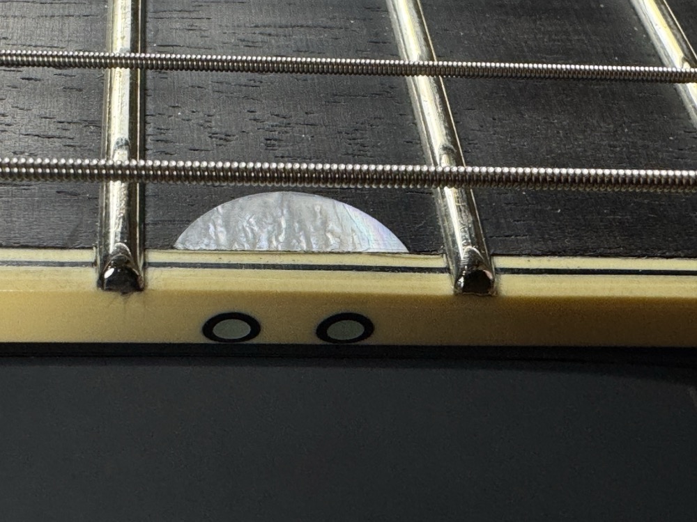 Gretsch Gretsch G6134TG Limited Edition Paisley Penguin - Gold Paisley - Guitars