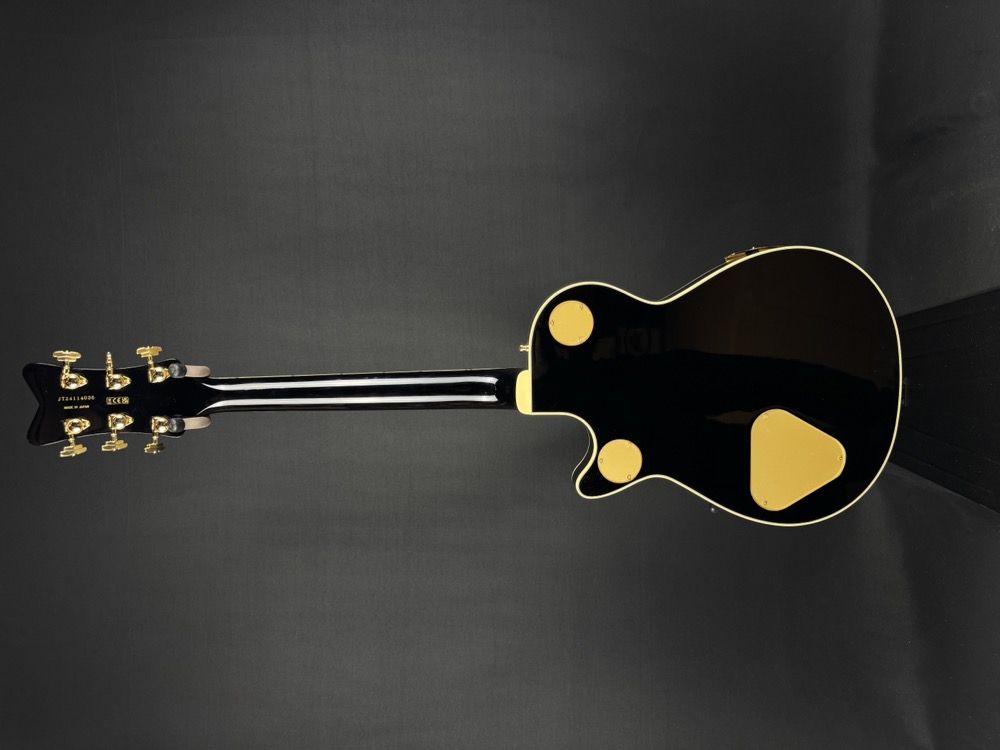 Gretsch Gretsch G6134TG Limited Edition Paisley Penguin - Gold Paisley - Guitars