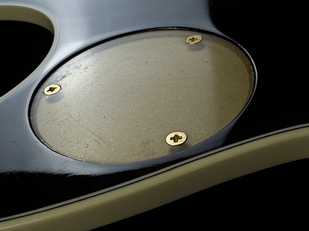 Gretsch Gretsch G6134TG Limited Edition Paisley Penguin - Gold Paisley - Guitars