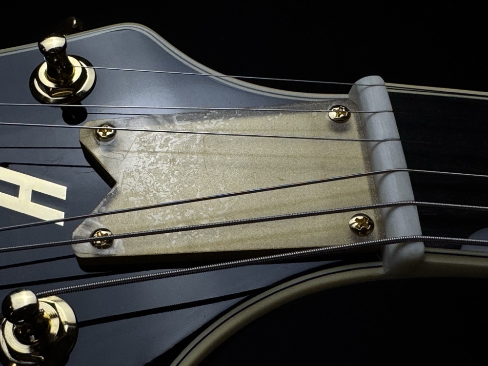 Gretsch Gretsch G6134TG Limited Edition Paisley Penguin - Gold Paisley - Guitars