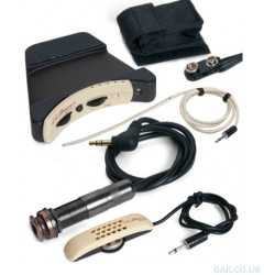 LR Baggs Anthem Tru-Mic With Element And Soundhole Preamp Acoustic