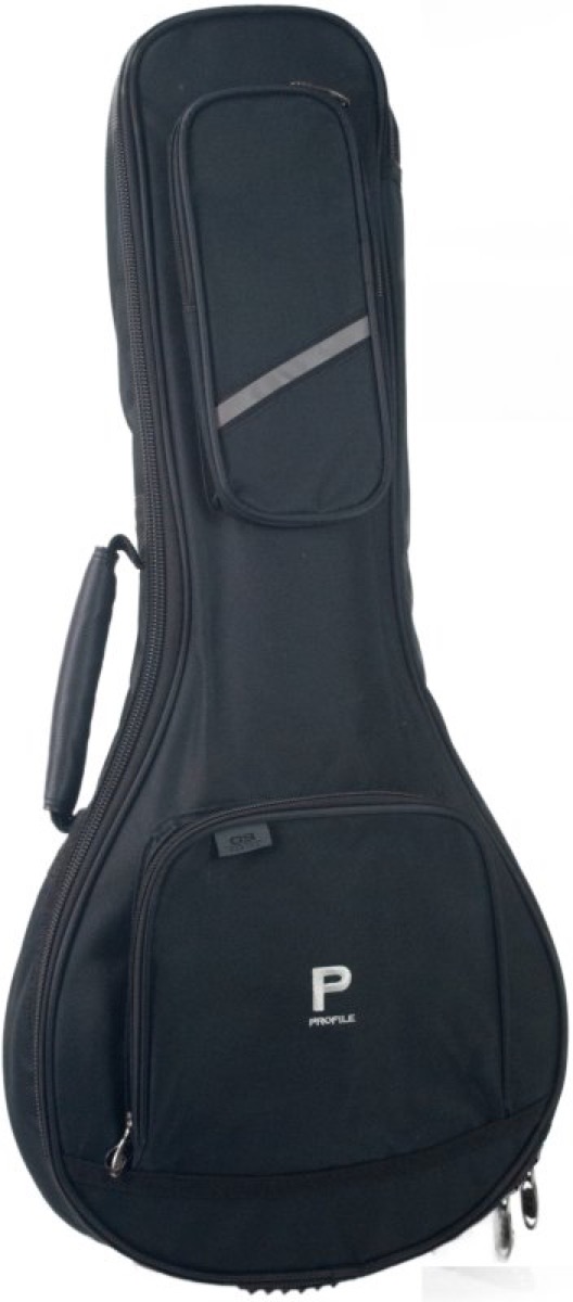 Profile Mandolin Gig Bag