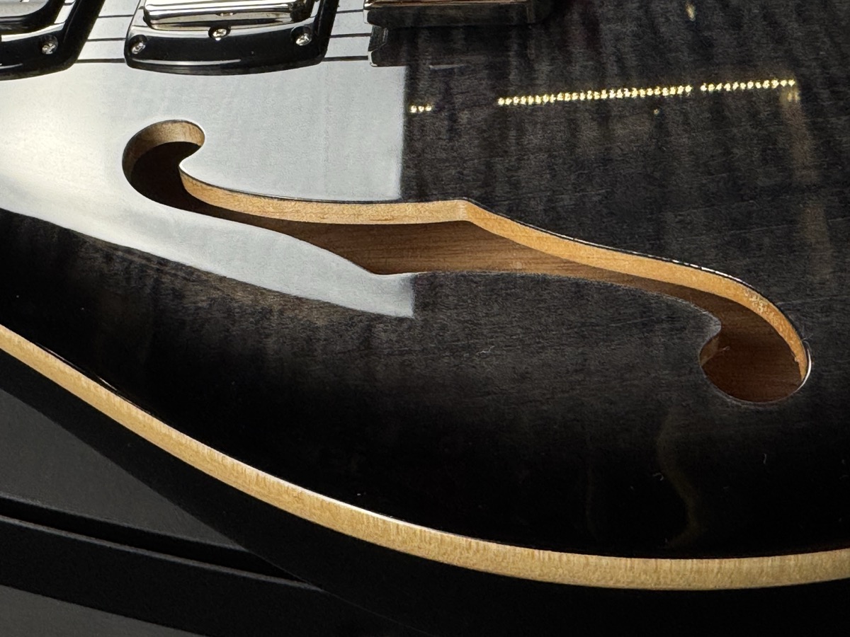 PRS PRS SE Special Semi-Hollow - Charcoal Burst, Rosewood, Gig Bag - Guitars