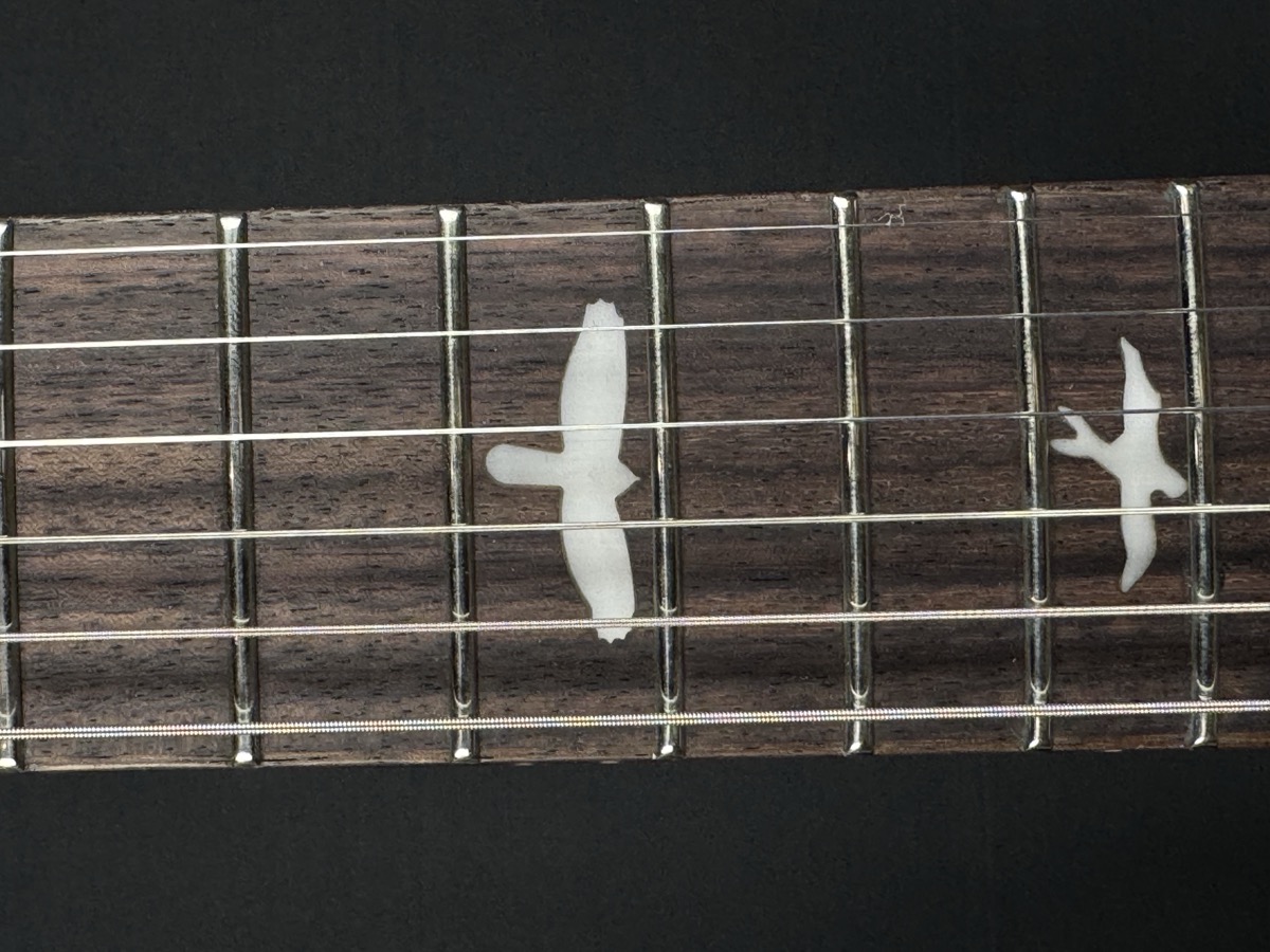 PRS PRS SE Special Semi-Hollow - Charcoal Burst, Rosewood, Gig Bag - Guitars