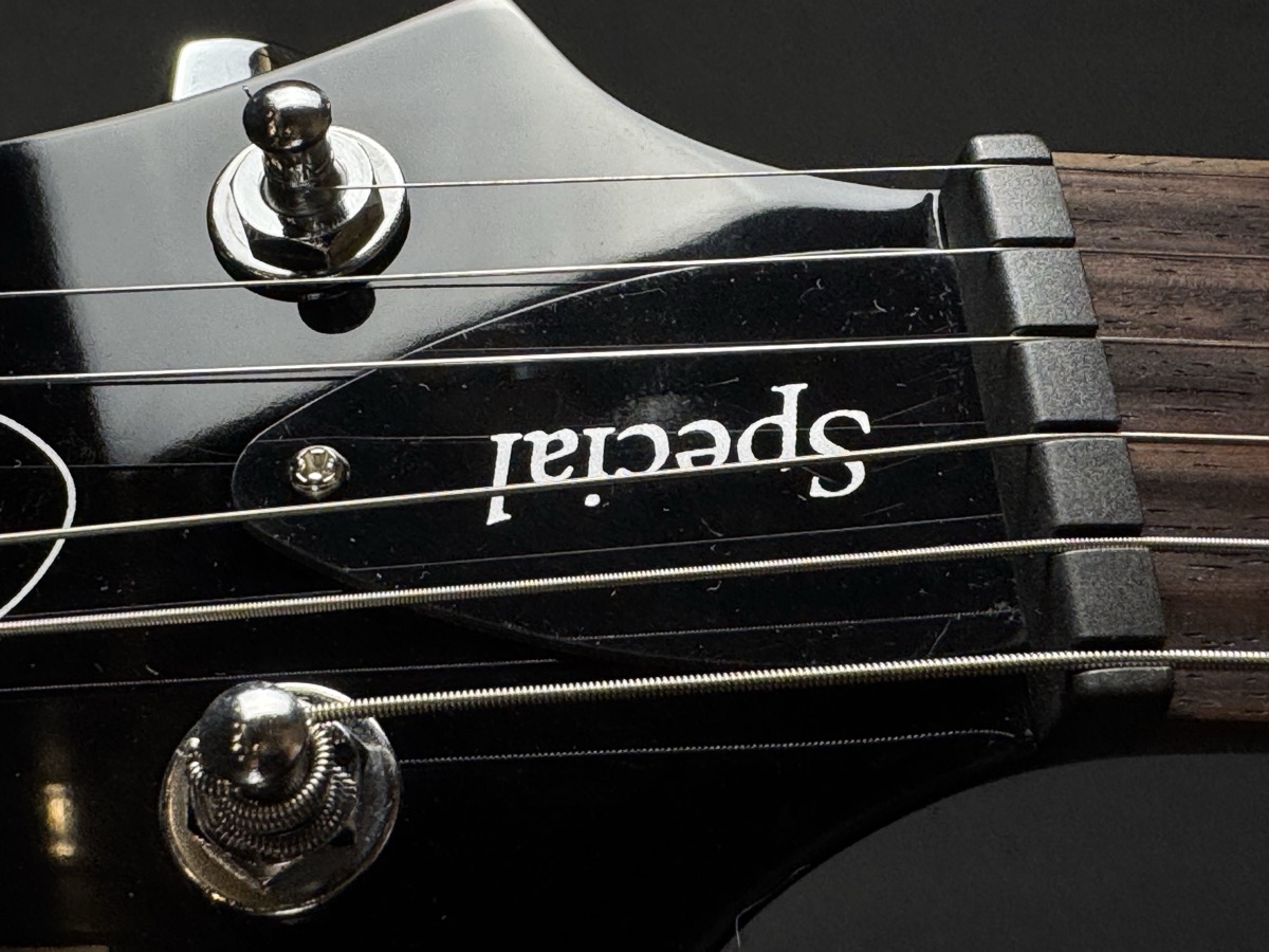 PRS PRS SE Special Semi-Hollow - Charcoal Burst, Rosewood, Gig Bag - Guitars