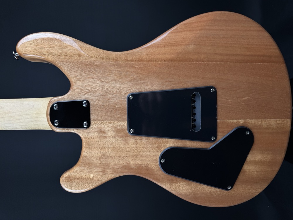 PRS PRS SE CE 24 - Slate Blue, Rosewood, Gig Bag - Guitars