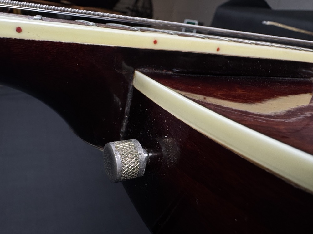 Gretsch USED Gretsch 6119 Mid 60's Chet Atkins Tenessean Walnut w/OHSC - Used