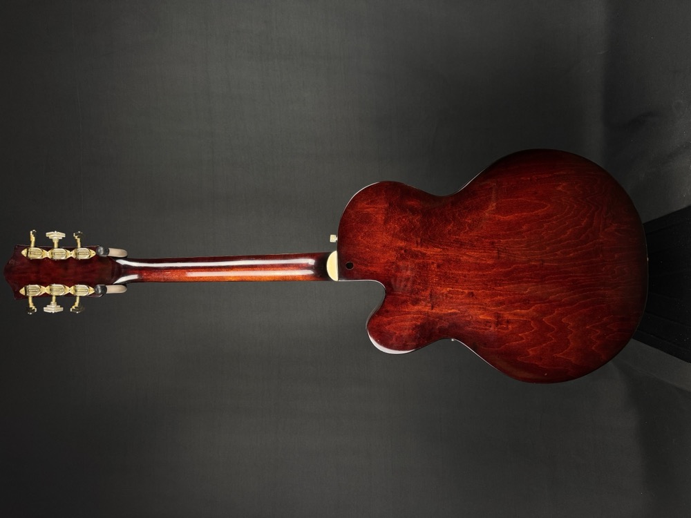 Gretsch USED Gretsch 6119 Mid 60's Chet Atkins Tenessean Walnut w/OHSC - Used