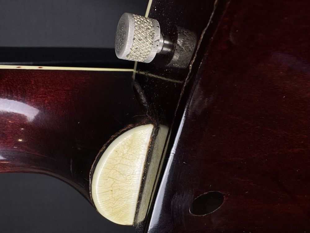 Gretsch USED Gretsch 6119 Mid 60's Chet Atkins Tenessean Walnut w/OHSC - Used