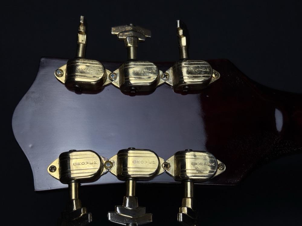 Gretsch USED Gretsch 6119 Mid 60's Chet Atkins Tenessean Walnut w/OHSC - Used