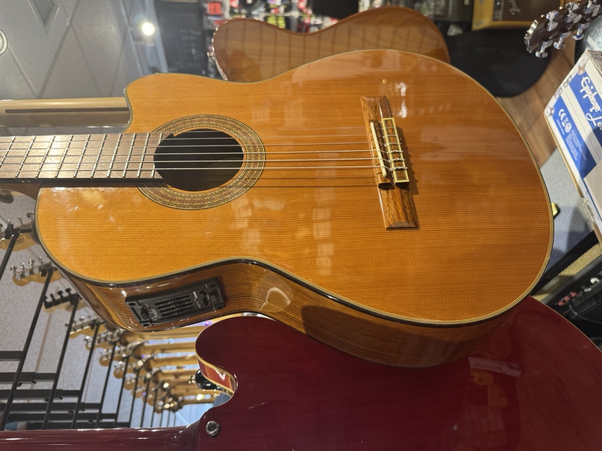 Fender USED Fender CG-24SCE Classical, Solid Cedar Top, Fishman PU, MIK - Used