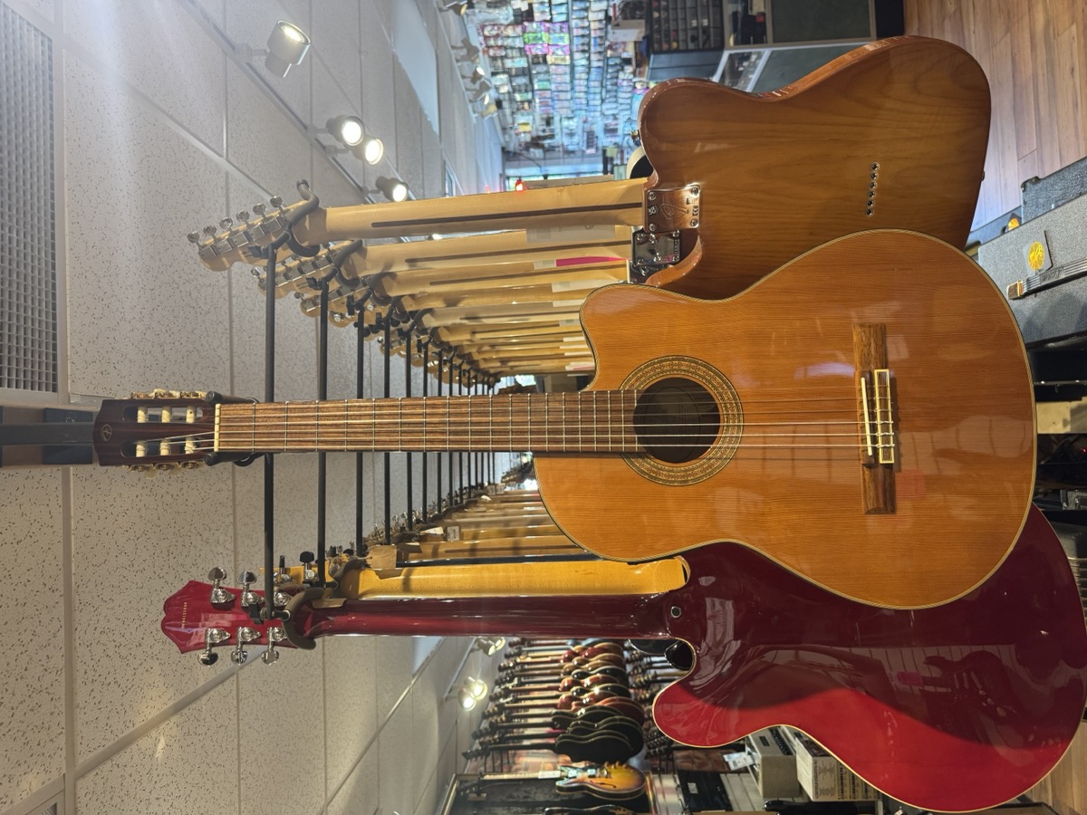 Fender USED Fender CG-24SCE Classical, Solid Cedar Top, Fishman PU, MIK - Used