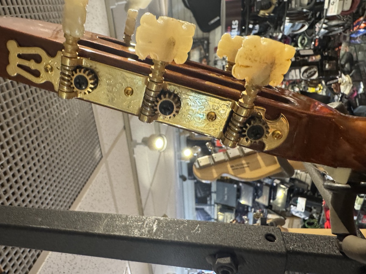 Fender USED Fender CG-24SCE Classical, Solid Cedar Top, Fishman PU, MIK - Used