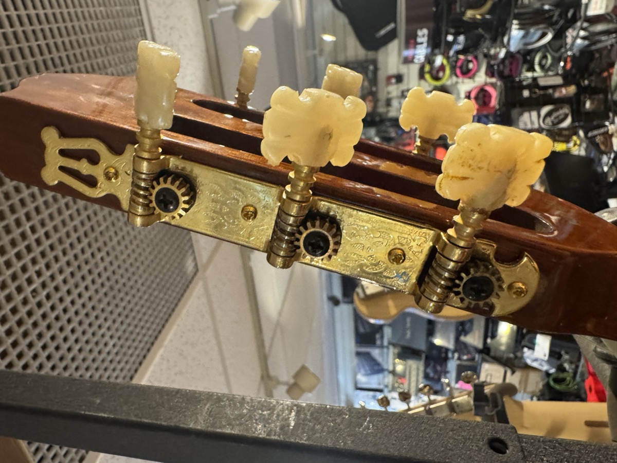 Fender USED Fender CG-24SCE Classical, Solid Cedar Top, Fishman PU, MIK - Used