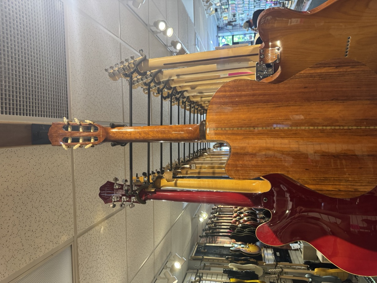 Fender USED Fender CG-24SCE Classical, Solid Cedar Top, Fishman PU, MIK - Used