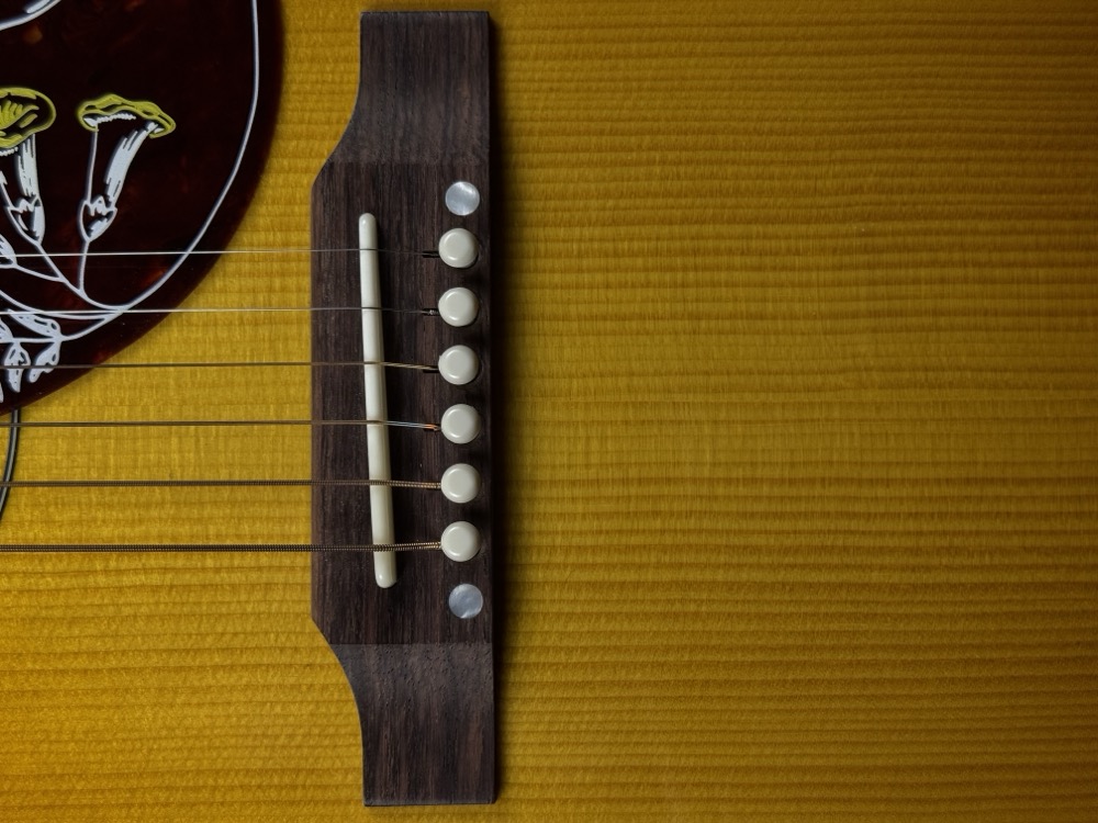 Gibson Custom Shop USED Gibson Hummingbird Red Spruce Willcutt Exclusive - Used