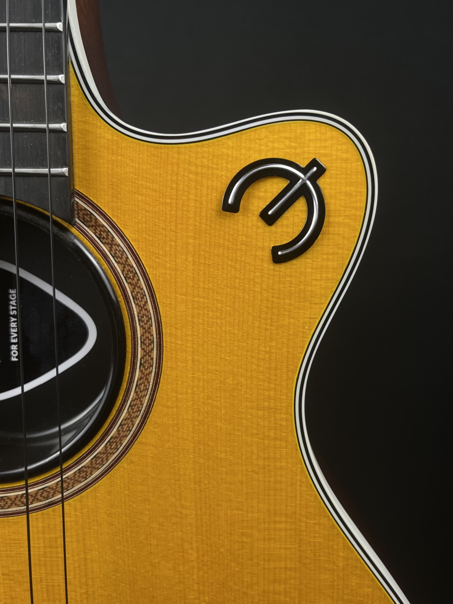 Epiphone USED Epiphone CEC Nylon Coupe Chambered Guitar Antique Natural - Used