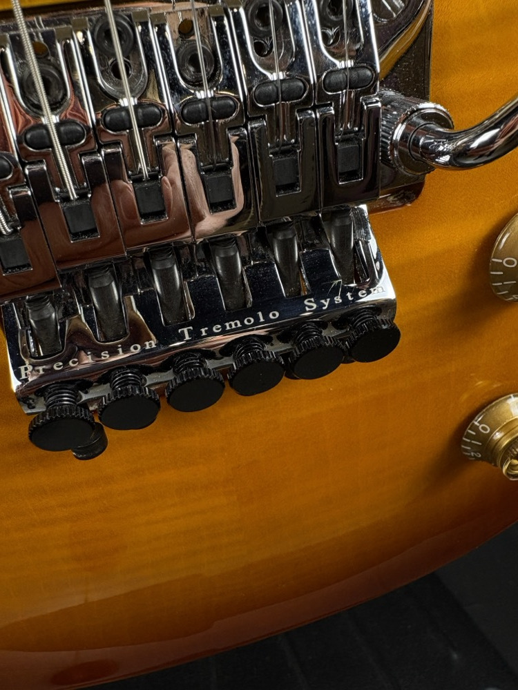 Epiphone USED Epiphone Alex Lifeson Les Paul Axcess Viceroy Brown w/OHSC - Used