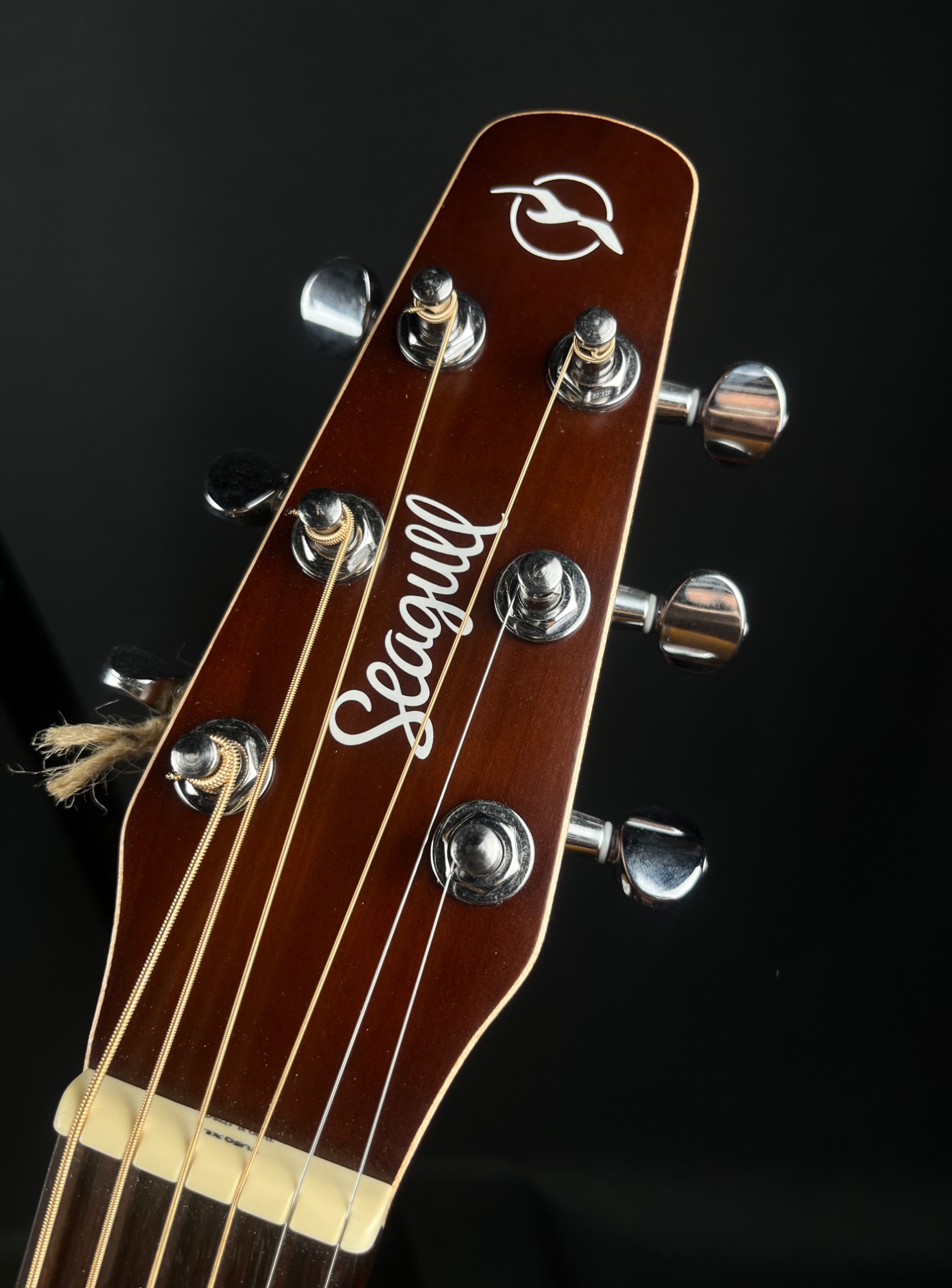 Misc USED Seagull Entourage Cutaway Acoustic Guitar with QIT - Autumn Burst - Used
