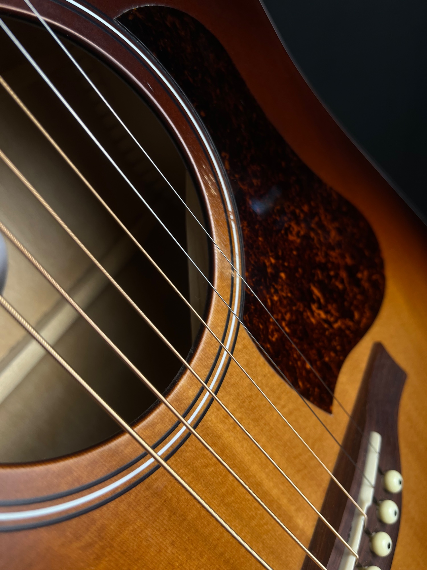 Misc USED Seagull Entourage Cutaway Acoustic Guitar with QIT - Autumn Burst - Used